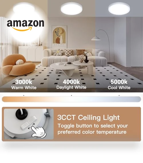 LED Flush Mount Ceiling Fixture with Night Light — Overhead Lighting, JTT
