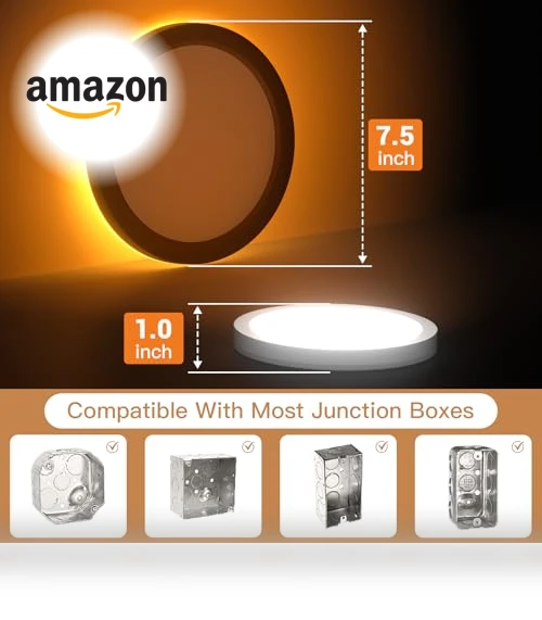 LED Flush Mount Ceiling Fixture with Night Light — Overhead Lighting, JTT