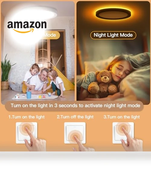 LED Flush Mount Ceiling Fixture with Night Light — Overhead Lighting, JTT