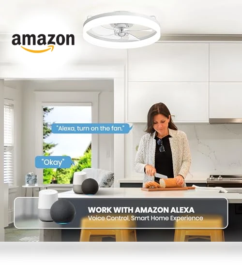 Smart Ceiling Fan with Lights — Ceiling Fan Wall Controls, LUDOMIDE