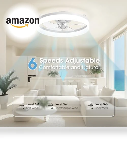 Smart Ceiling Fan with Lights — Ceiling Fan Wall Controls, LUDOMIDE
