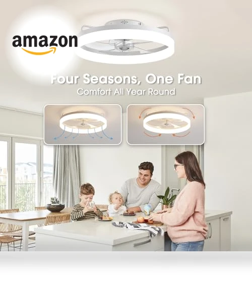 Smart Ceiling Fan with Lights — Ceiling Fan Wall Controls, LUDOMIDE