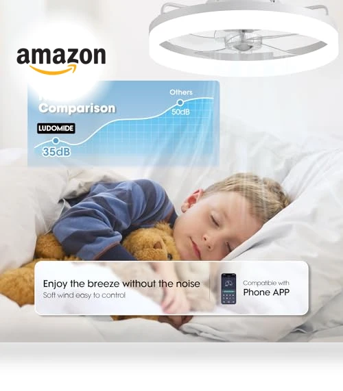 Smart Ceiling Fan with Lights — Ceiling Fan Wall Controls, LUDOMIDE