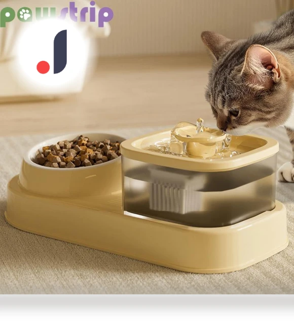 Automatic Pet Water Fountain and Feeder — Fountains, Pawstrip