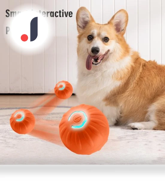 Interactive Dog Toy Ball — Balls, haoligei