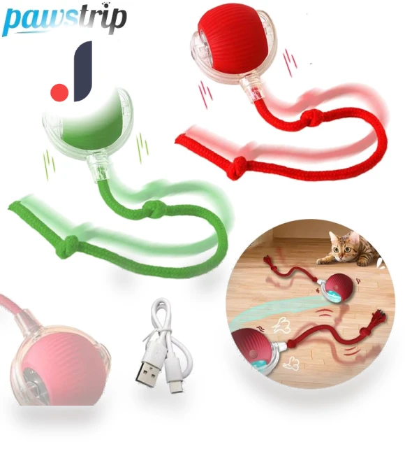 Interactive Electric Pet Toy — Cat Playthings, Pawstrip