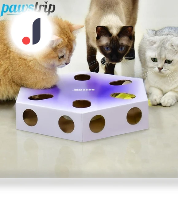 Interactive Magic Box Electric Cat Toy — Interactive Animal Companions, Pawstrip