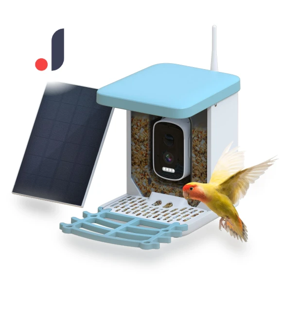Smart Bird Feeder with Camera — Outdoor & Wildlife Cameras, Neoglint