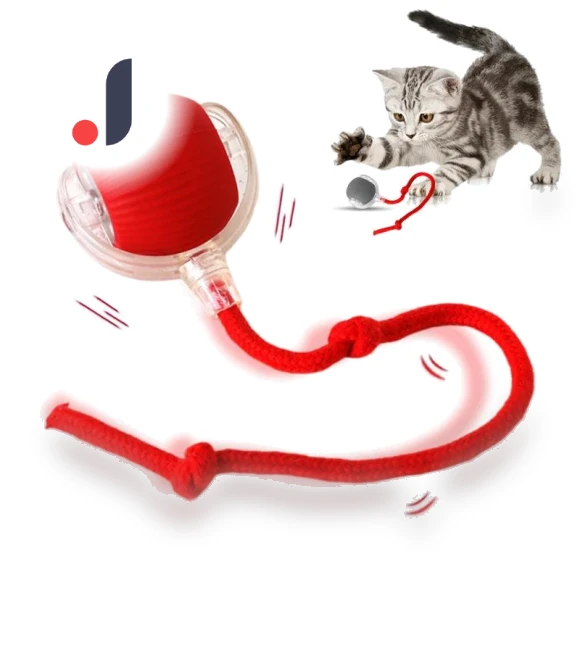 Automatic Electric Rolling Ball — Cat Playthings, Photography