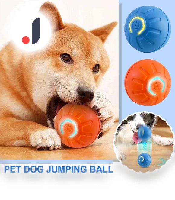 Electronic Interactive Pet Toy Ball — Interactive Animal Companions, Wrigleys