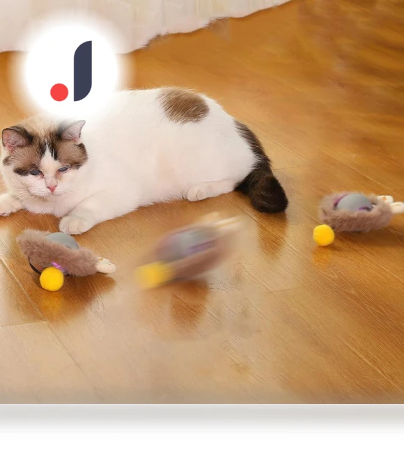 Interactive Cat Toy — Cat Playthings, Hungry Heart
