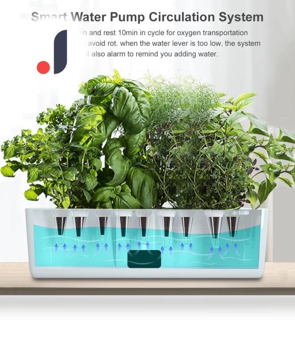 Hydroponic Growing System — Germination Kits, Build My Home
