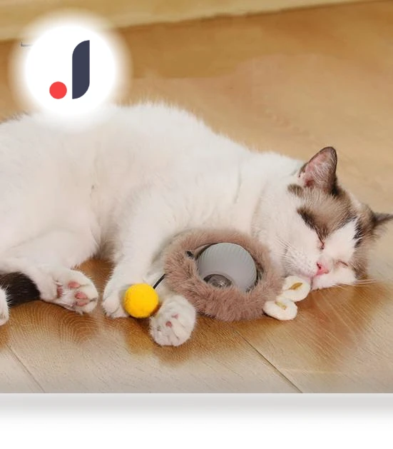 Interactive Cat Toy Ball — Cat Playthings, Kitty Cat House