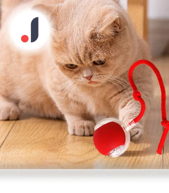 Interactive Pet Toy — Cat Playthings, Luminaire Lighting Mall