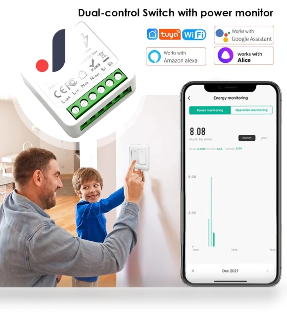MINI Smart Switch 2-Position Control — Smart Home Modules, Build My Home