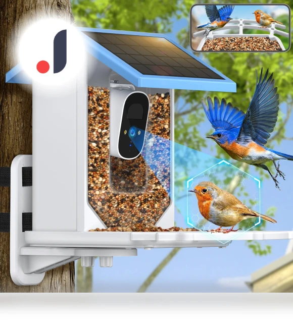 Smart Bird Feeder with Camera — Backyard Birding, Pet Supermarket