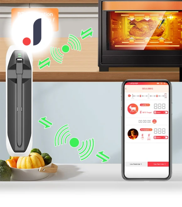 Smart Bluetooth Meat Thermometer — Thermometers, Build My Home