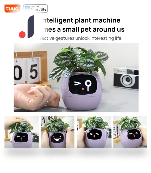 Smart Pot Ivy — Plants & Greenery, Cozy Cottage-Relax