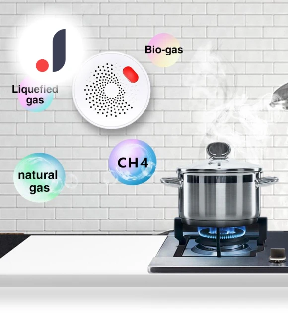 Smart Wi-Fi Natural Gas Detector — Gas Safety Equipment, Tulan market