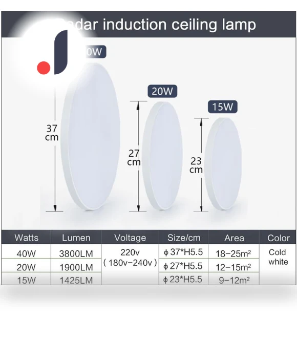 LED Ceiling Light with Radar Sensor — Overhead Lighting, Rainbow Rain