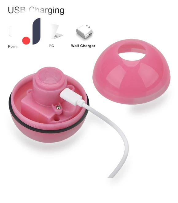 Rotating LED Ball — Interactive Animal Companions, Lntelligent Living Hall