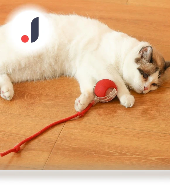 Automatic Rolling Ball Pet Toy with Artificial Tail — Cat Playthings, Optimized General