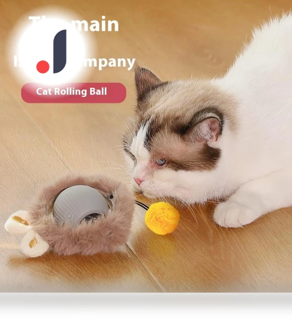 Automatic Rotating Cat Toy with USB Rechargeable Function — Cat Playthings, Sunnyway