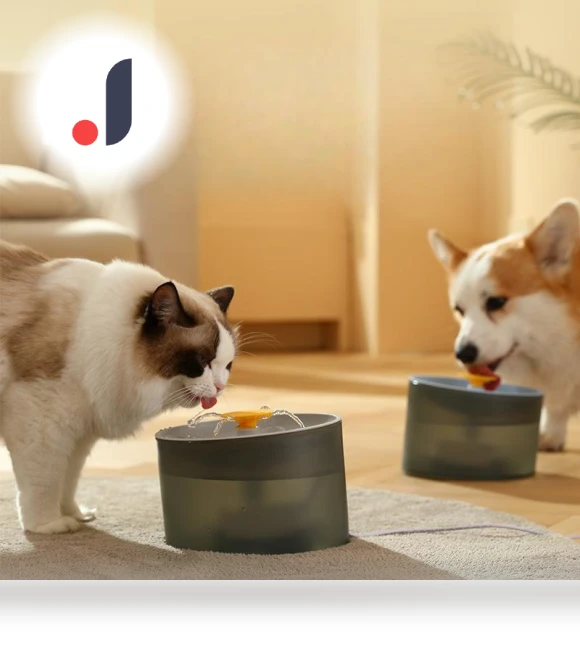 Automatic Water Dispenser for Pets — Feeding Supplies, Pet family bucket