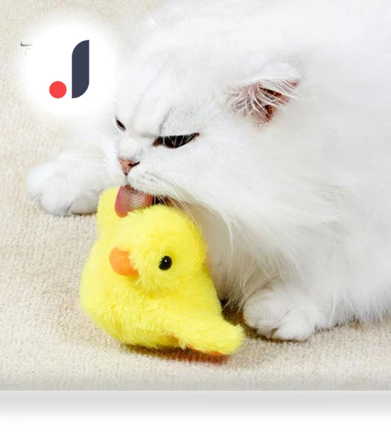 Flapping Wings Duck Cat Toy — Interactive, Pet park