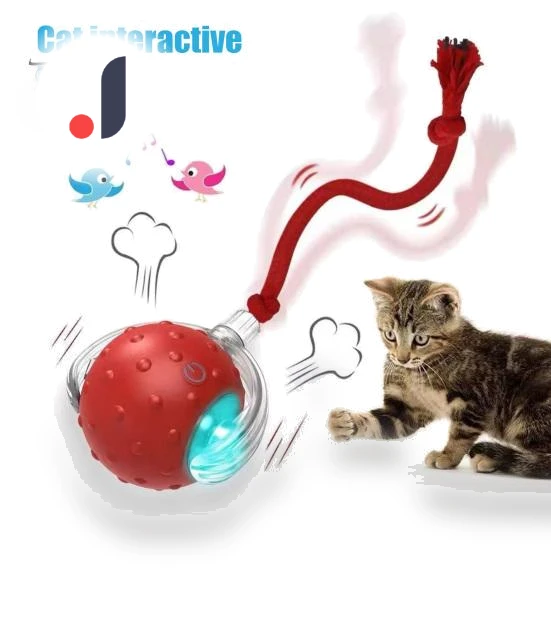 Interactive Cat Toy with Rolling Ball — Cat Playthings, Pet park
