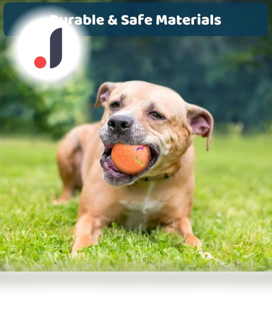 Interactive Pet Ball — Automatic Launchers, All in Watch
