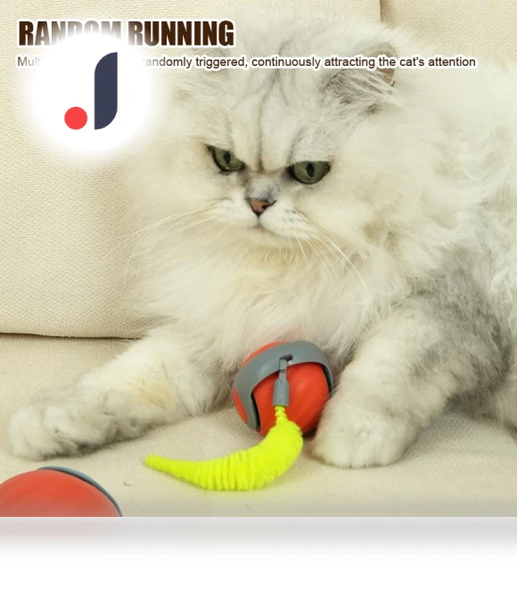 Interactive Pet Toy Ball — Automatic Launchers, key to knowledge