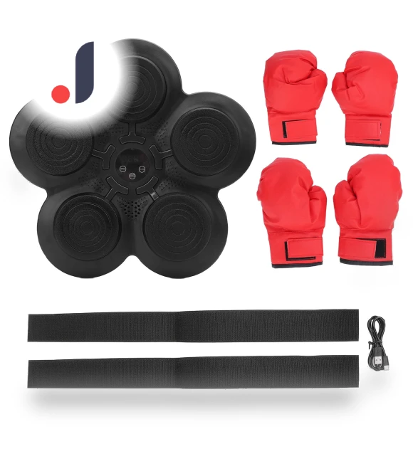 Smart Musical Boxing Trainer — Boxing Training Gear, ZuiyouBaby1