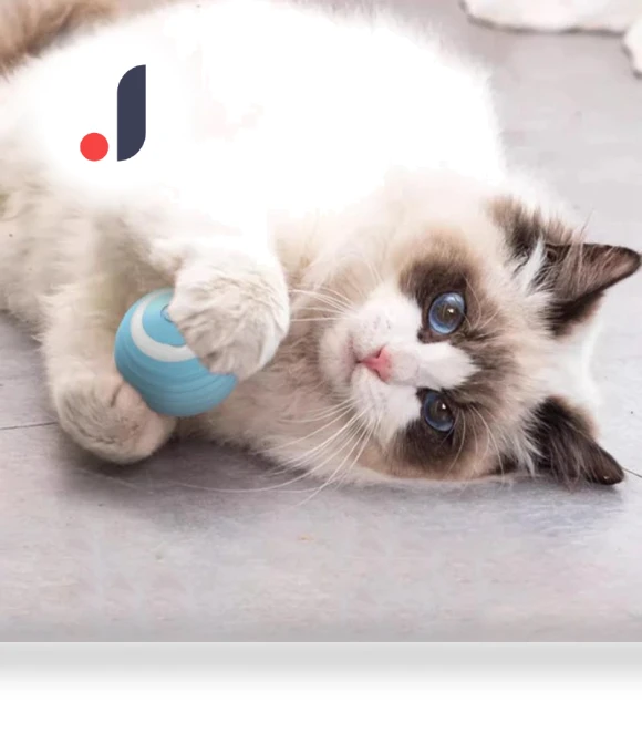 Automatic Rolling Ball for Cats — Cat Playthings, Simplistic Living Home