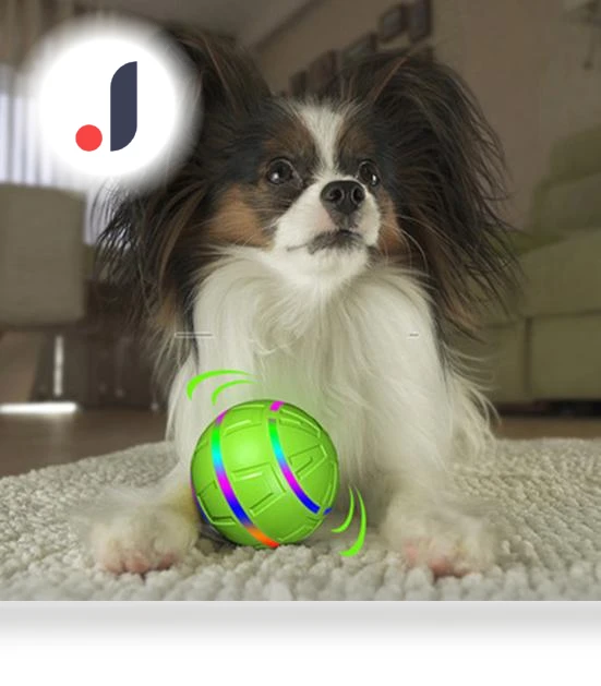 Interactive Dog Toy Ball — Balls, Yousheng Electronic Products