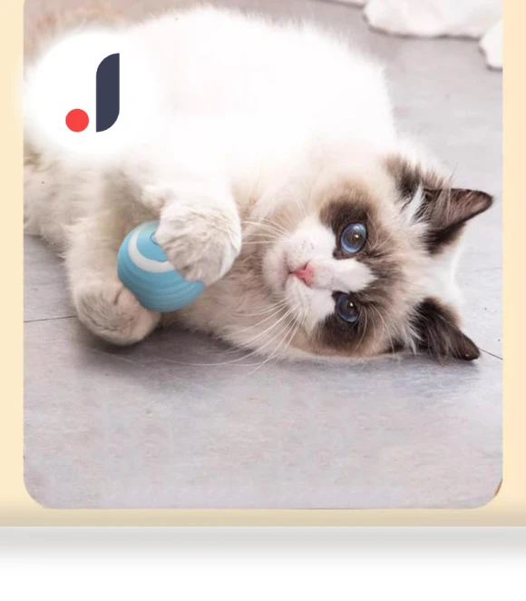 USB Rechargeable Smart Interactive Cat Toy — Interactive Animal Companions, GYROBALL