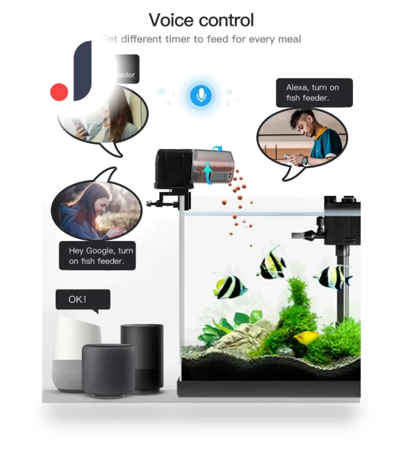 Intelligent Automatic Fish Feeder — Feeders, Stone Home