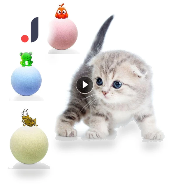 Interactive Smart Ball for Cats — Cat Playthings, Simplistic Living Home