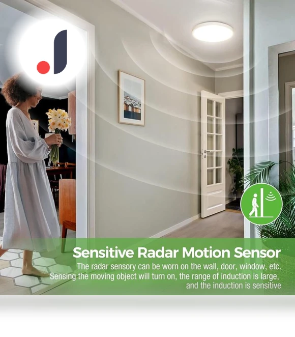 LED Radar Sensor Ceiling Lamp — Garden Illumination, AE Selection