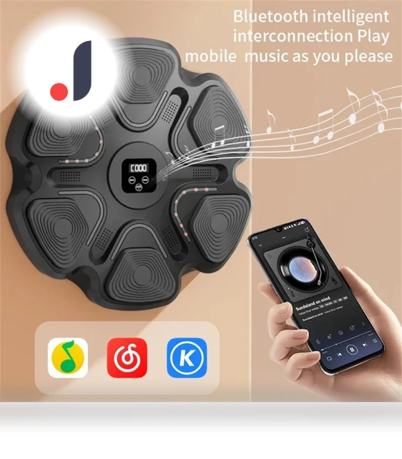Smart Musical Boxing Trainer — Boxing Training Gear, Wrigleys