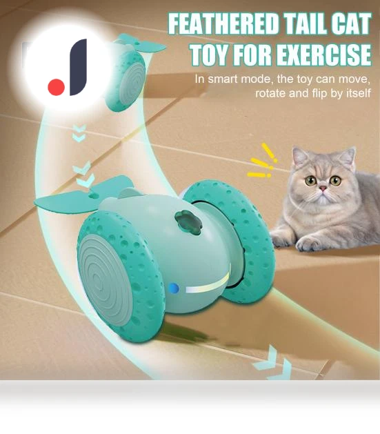 Interactive Cat Toy — Cat Playthings, Kitty Cat House