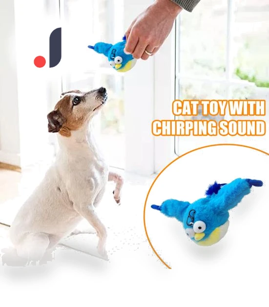 Interactive Chirping Bird Toy for Cats — Cat Playthings, All in Watch