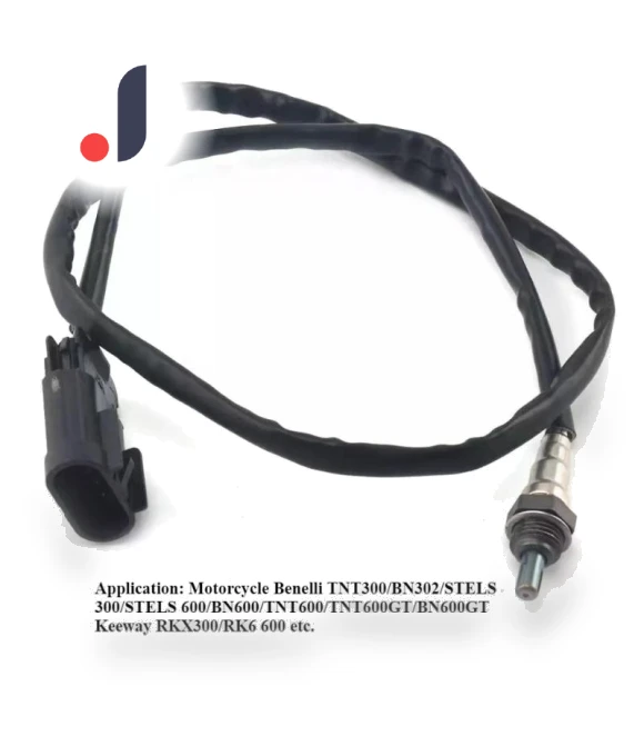 Oxygen Sensor — Exhaust Gas, Forest Sunshine Home