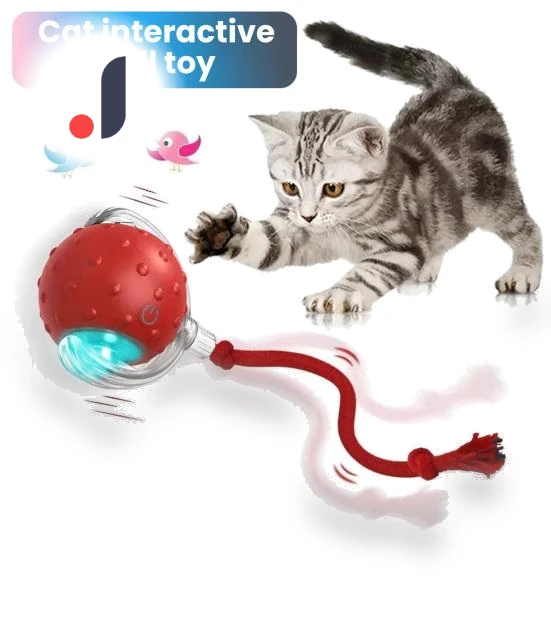 Interactive Cat Toy with Rolling Ball — Cat Playthings, Fashion Accessory