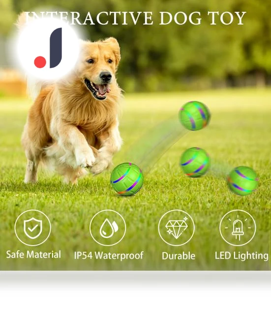 Interactive Dog Toy Ball — Balls, Dainty