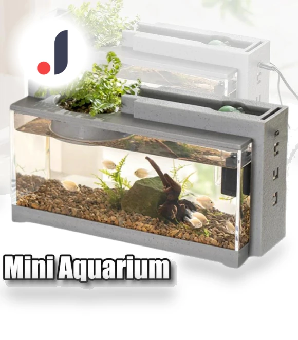 Mini Aquarium with Oxygen Bar — Terrariums, 888 Auto Parts Town