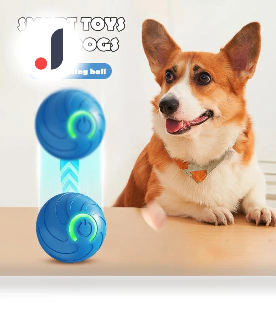 Rolling Ball for Pets with LED Light — Balls, Amusedly