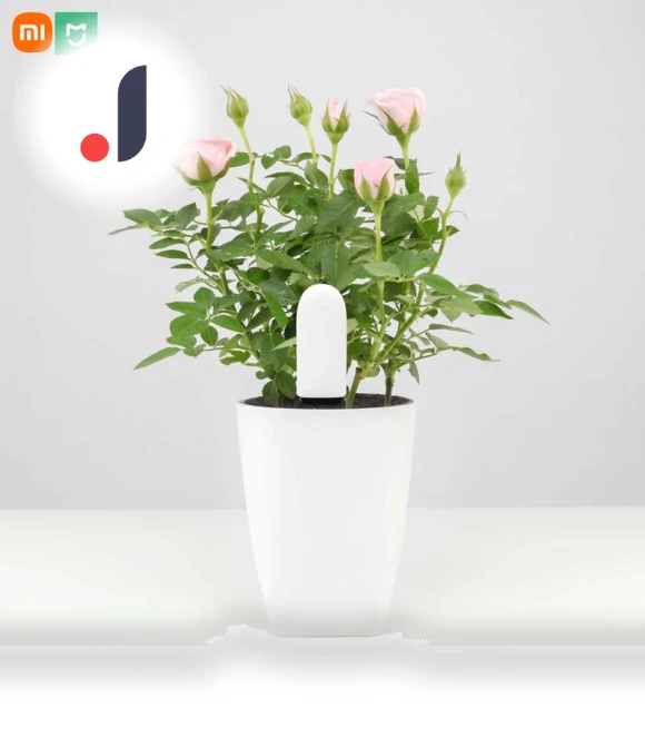 Smart Monitor — Pregnancy Health Monitors, Xiaomi