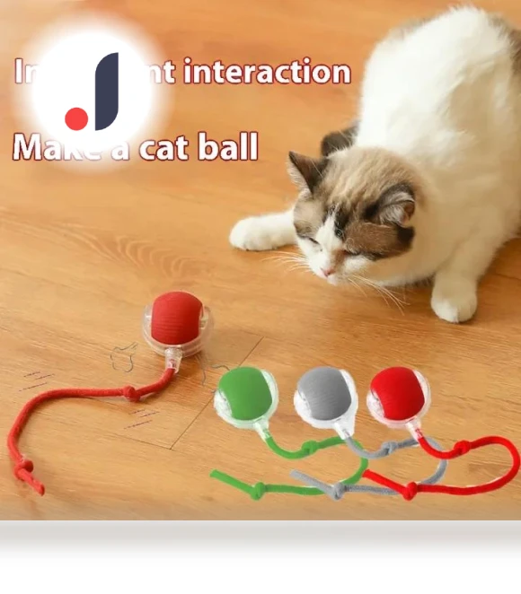 Interactive Smart Ball for Cats — Cat Playthings, Lucky Black Cat
