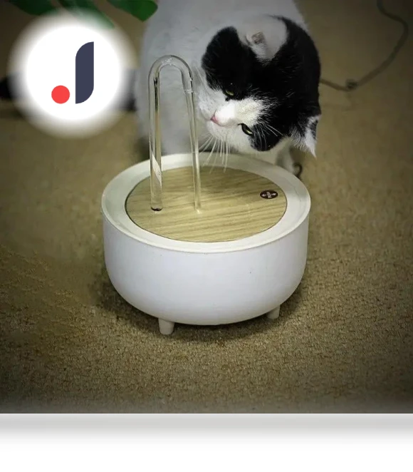 Automatic Fountain Filter for Cats — Pet Hydration Solutions, Indoor Furniture